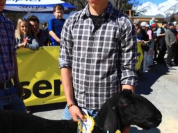 2019_ausstellung polling_333